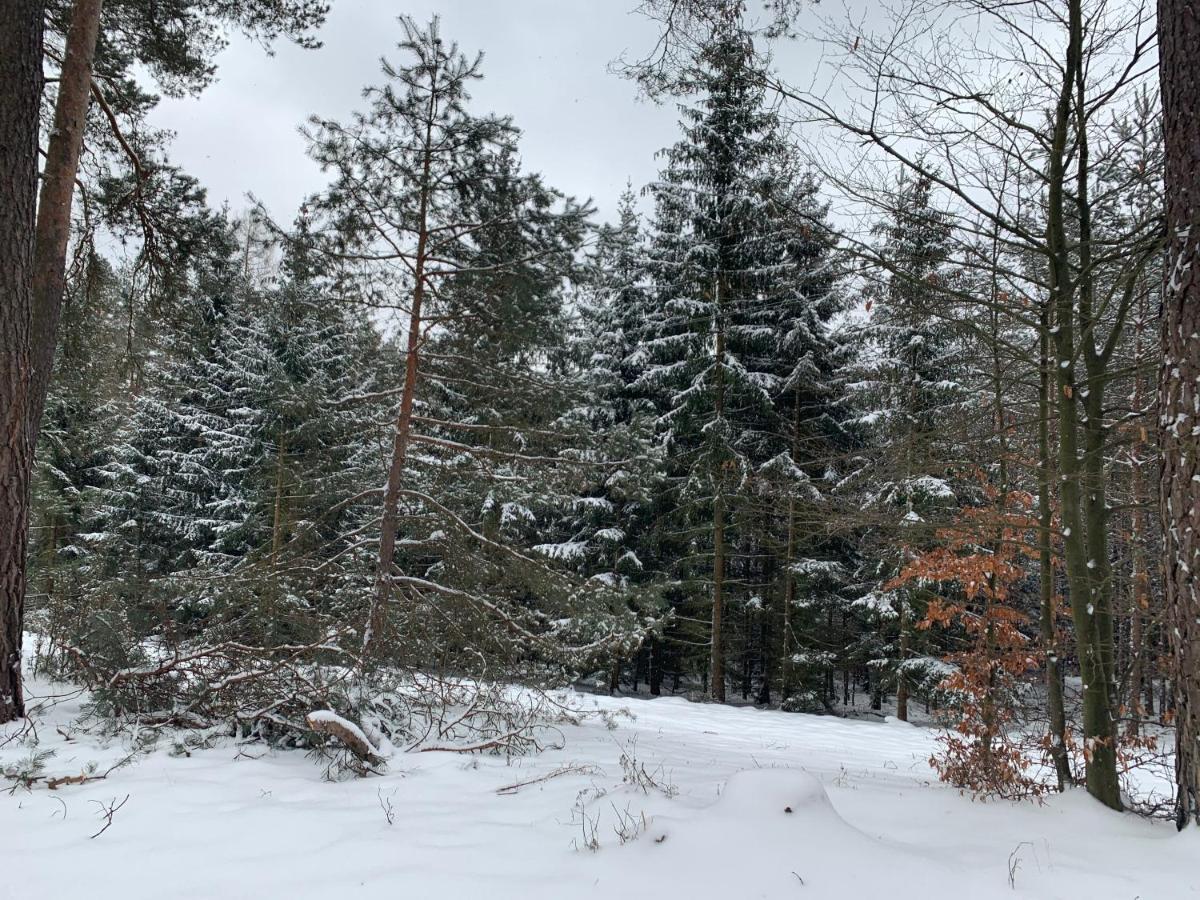 Agroturystyka Gesiniec Stare Osieczno Exterior foto