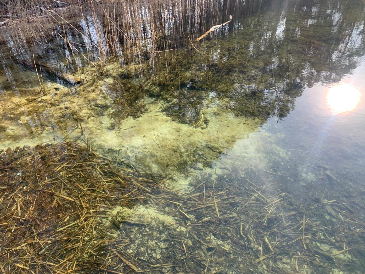 Agroturystyka Gesiniec Stare Osieczno Exterior foto